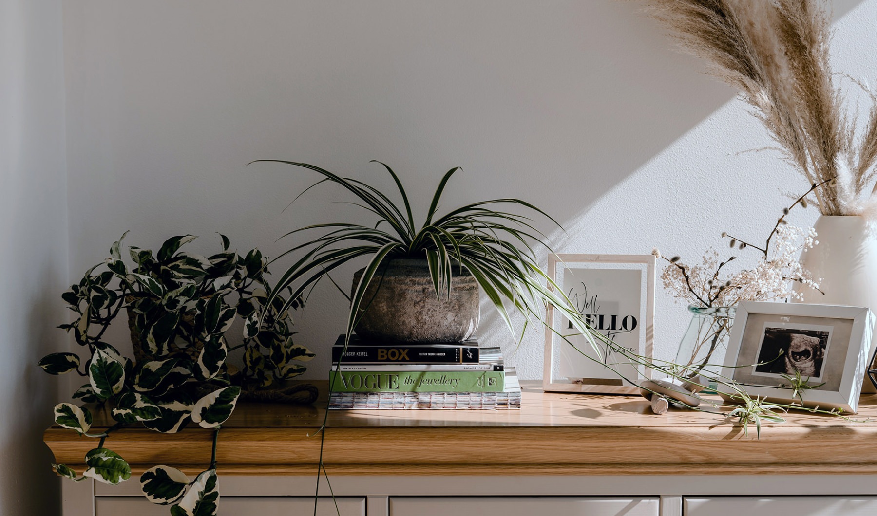 Plants and books on an end table Plants and books on an end table